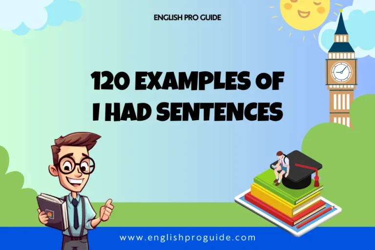 120 Examples of I Had Sentences