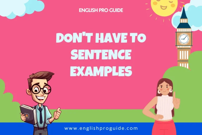 List of 60+ Don't Have To Sentence Examples