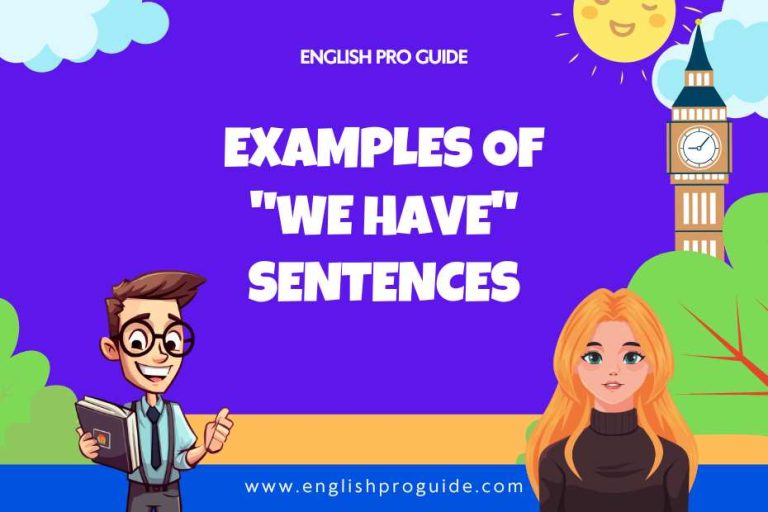 Examples of "We Have" Sentences