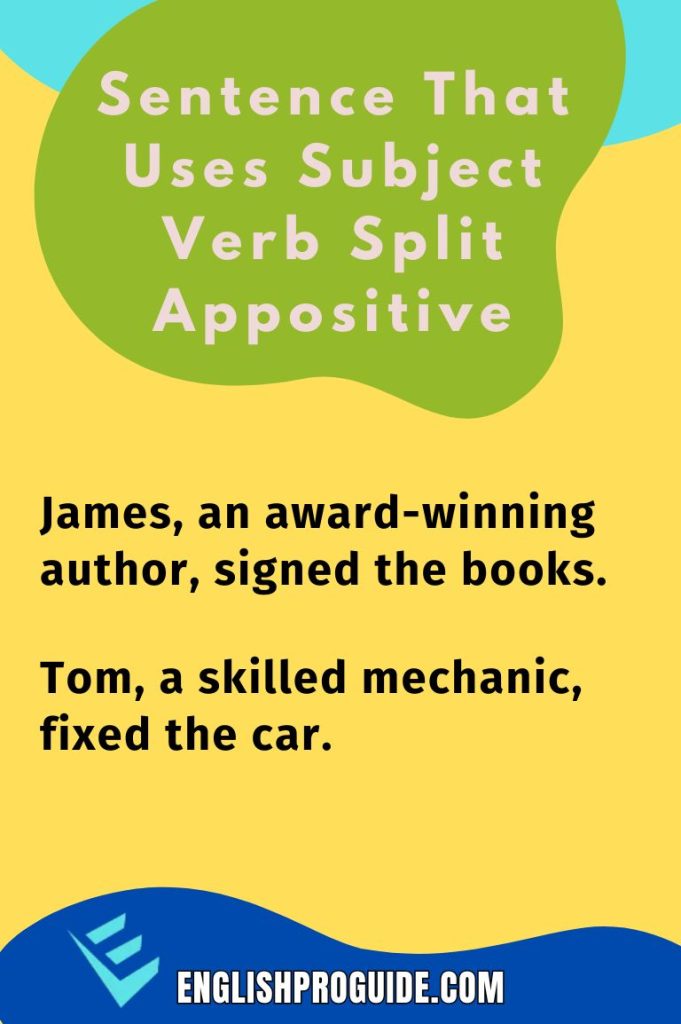 Sentence That Uses Subject Verb Split Appositive